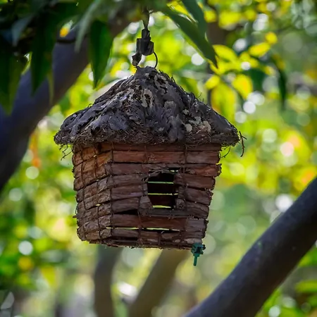 Degli Aranci فندق