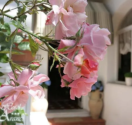 فندق Degli Aranci