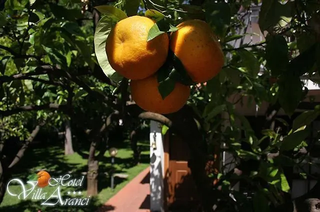 Degli Aranci 3* Diano Marina